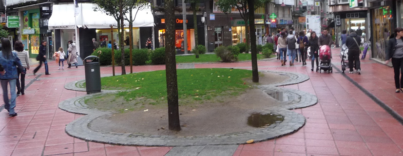 Foto de apertura de sección