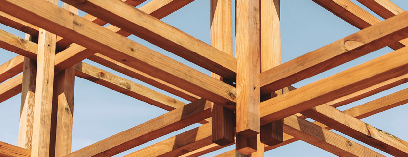 Foto de apertura de sección