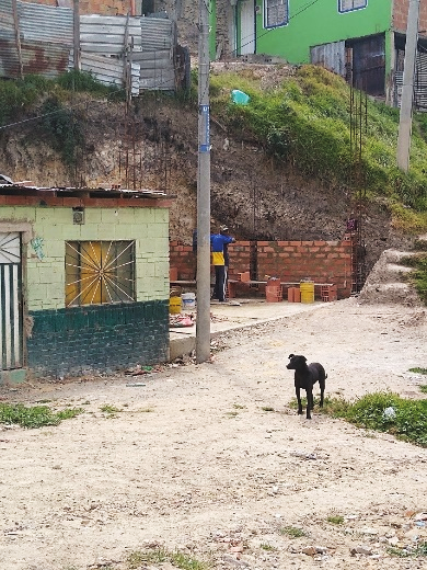 Elefante de pie sobre superficie terrosa

Descripción generada automáticamente con confianza baja