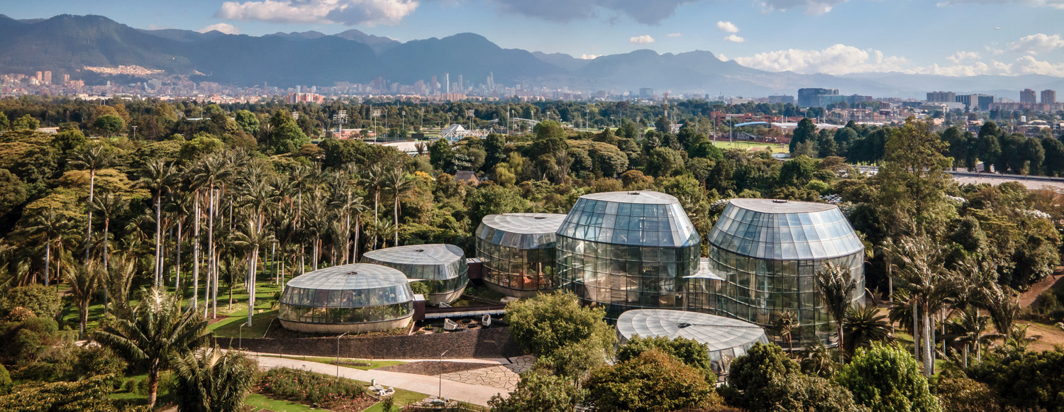 Foto de apertura de sección