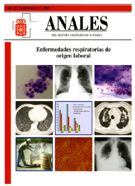 					Ver Vol 28, Supl 1. Enfermedades respiratorias de origen laboral.
				