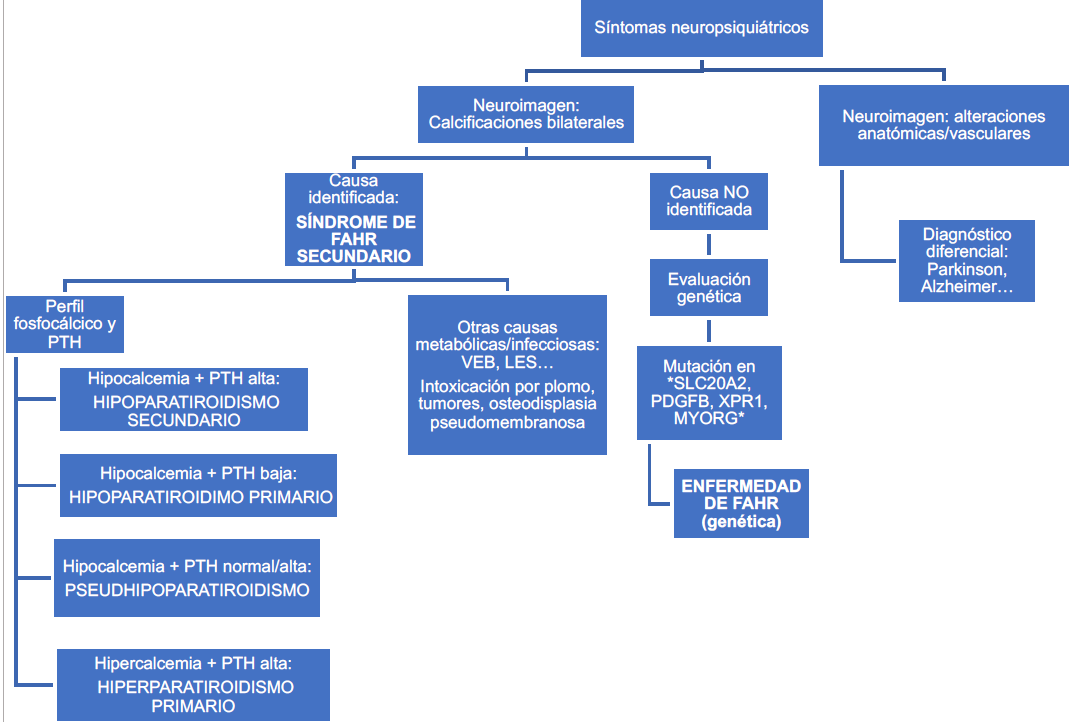 Algoritmo diagnóstico ante hallazgo de calcificaciones cerebrales y sintomatología neuropsiquiátrica