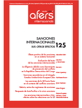 					View Nº. 125. International sanctions: The “other” effects
				